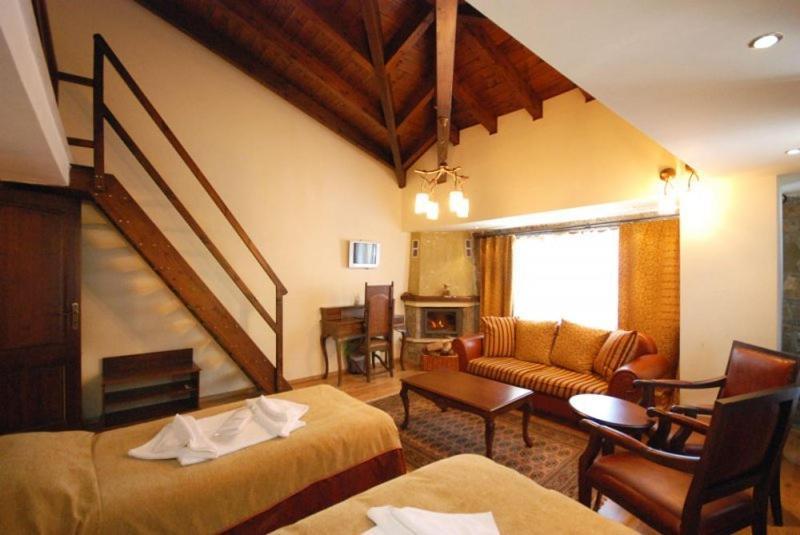 Vasilitsa Spa Resort เกรเวนา ห้อง รูปภาพ